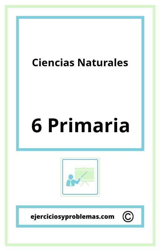 Ejercicios De Ciencias Naturales 6 Primaria