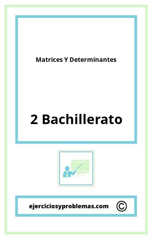 Ejercicios Matrices Y Determinantes 2 Bachillerato Pdf